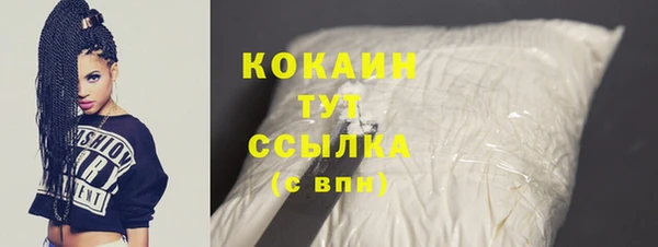 твердый Алексин