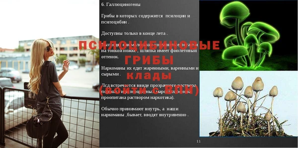 индика Алексеевка