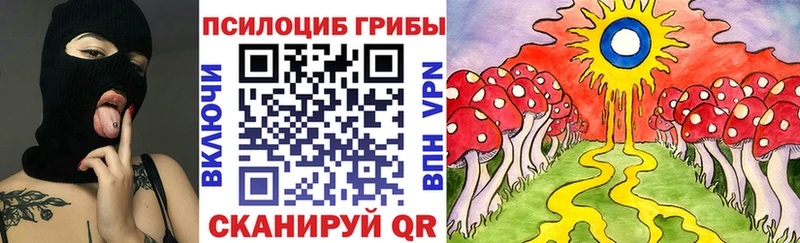 Псилоцибиновые грибы GOLDEN TEACHER  Оса 